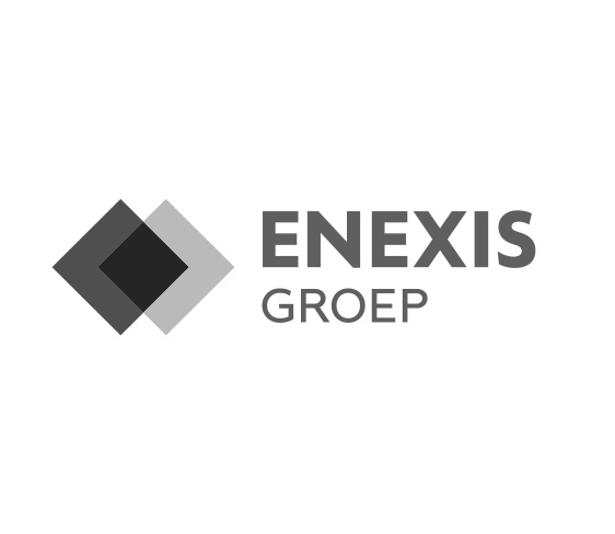 Reference-Incompany-Enexis