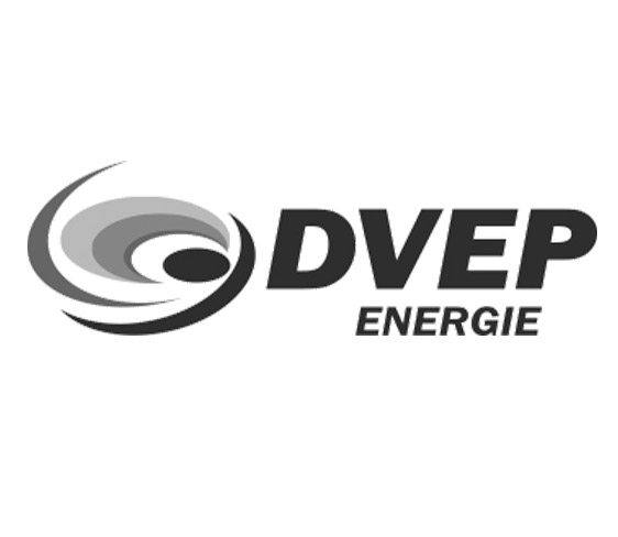 Referentie DVEP energie